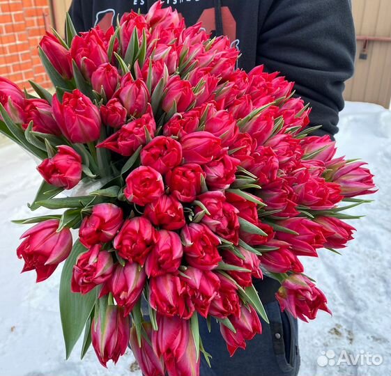 Тюльпаны оптом