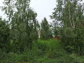 Участок 10,4 сот. (СНТ, ДНП)