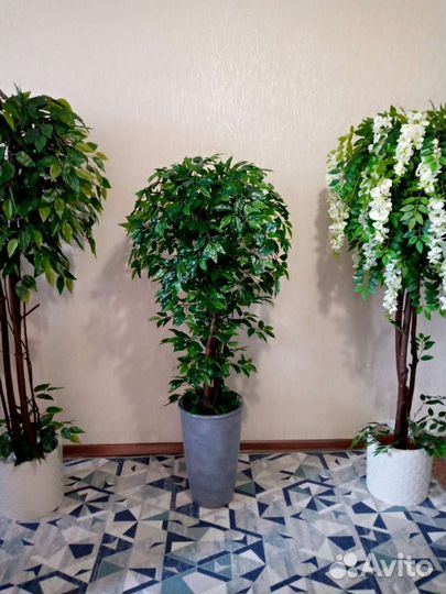 Искусственное дерево Фикус