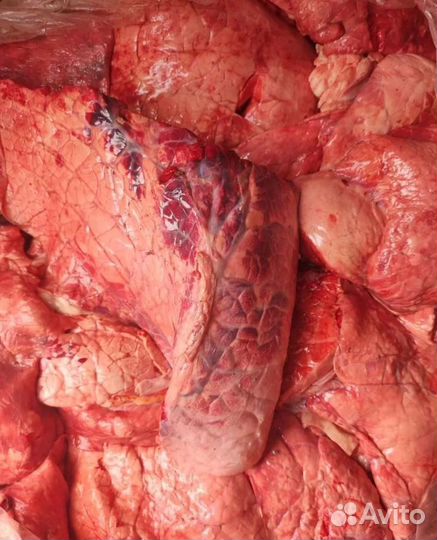 Мясо говядина и субпродукты для собак