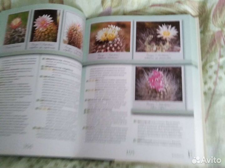 Полный справочник 