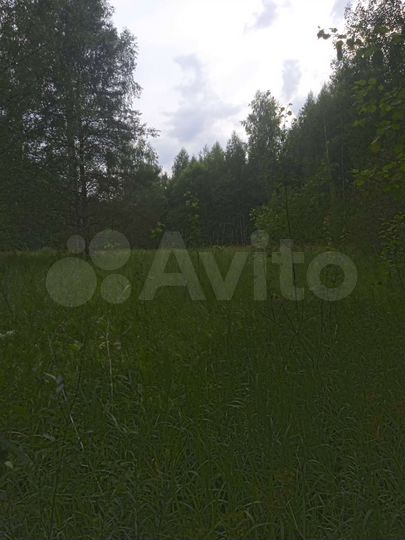 Участок 10 сот. (СНТ, ДНП)