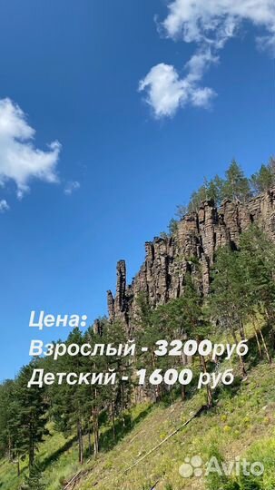 Экскурсионный семейный тур «Дубынинские столбы»