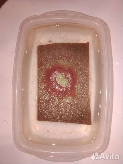 Живой корм для аквариумных рыбок