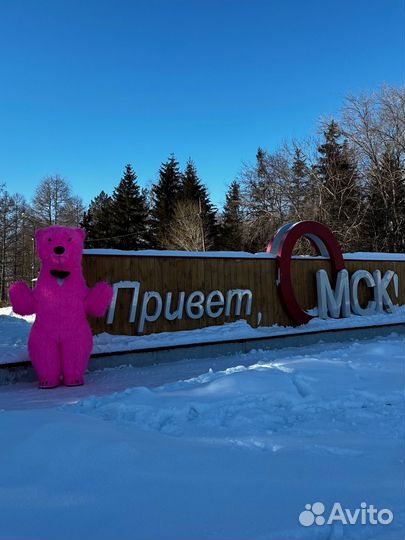 Белый мишка поздравление аниматор