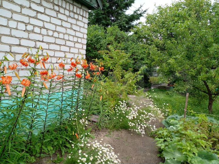 Дом 77,2 м² на участке 10,9 сот.