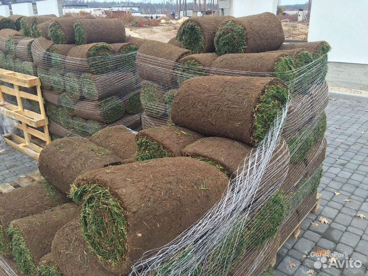 Омский газон