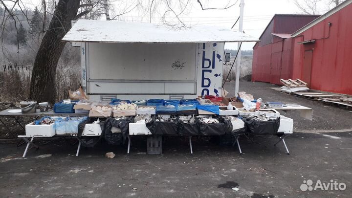 Торговый прицеп