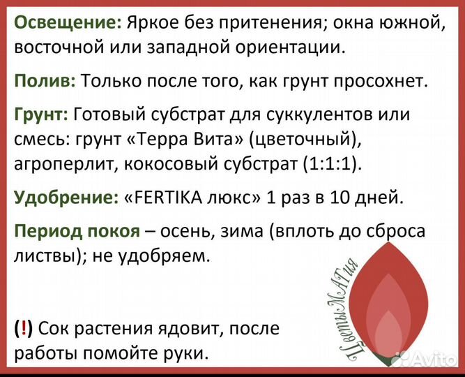 Адениум прививка