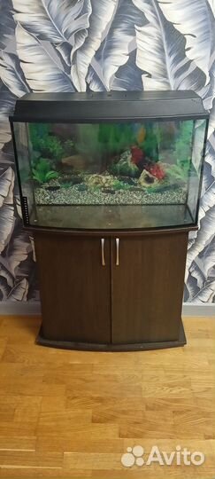 Аквариум 100 литров