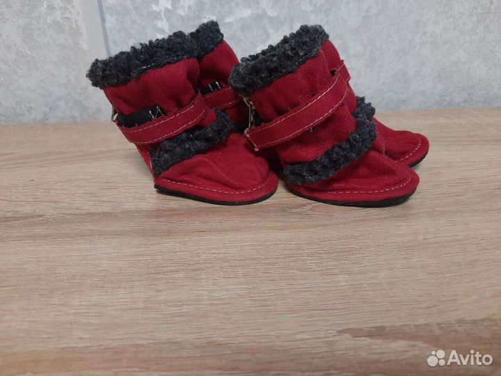 Обувь для маленьких собак