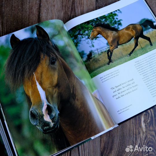 Spirit of the Horse, книга о лошадях из Англии