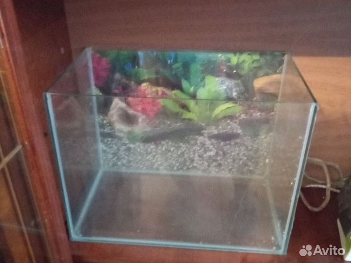 Аквариум