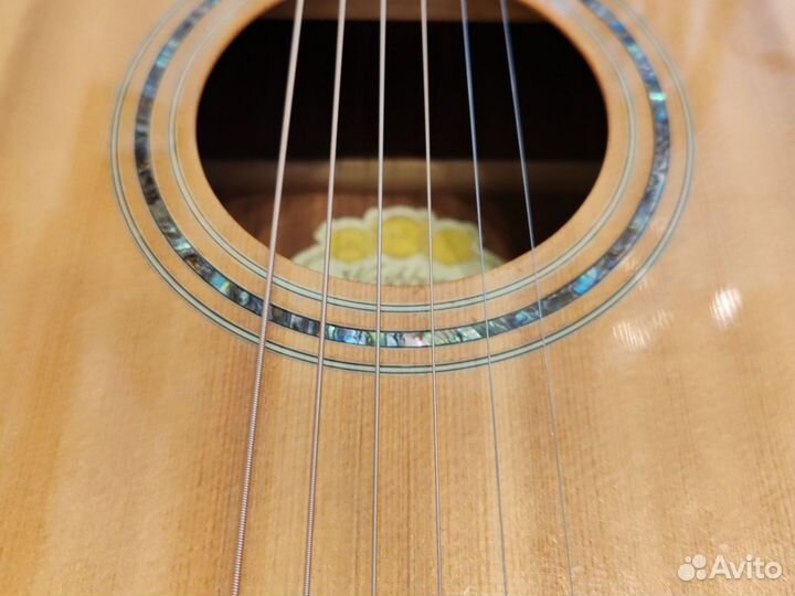 Гитара акустическая Washburn WCd 18