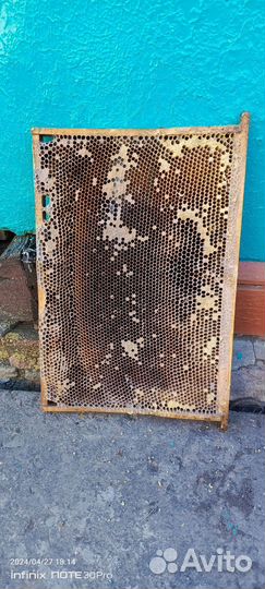 Рамки сушь- дадан