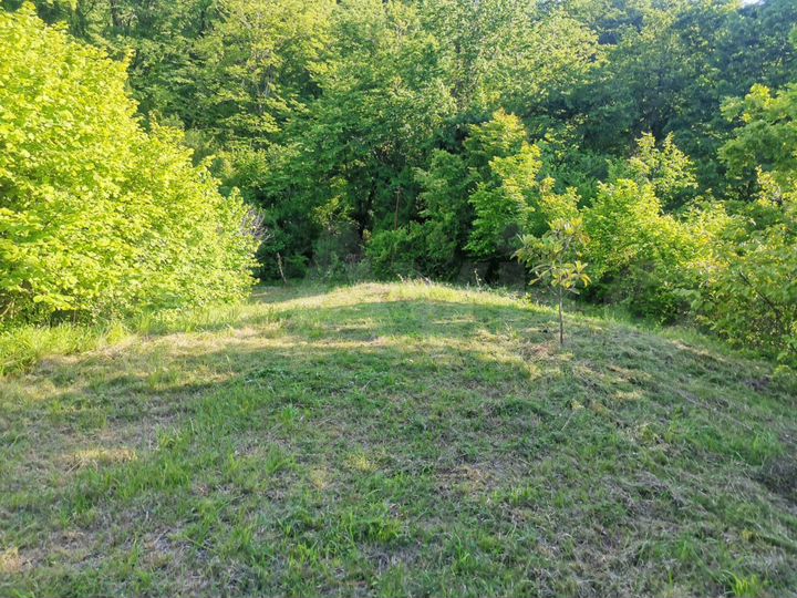 Участок 5,2 сот. (СНТ, ДНП)