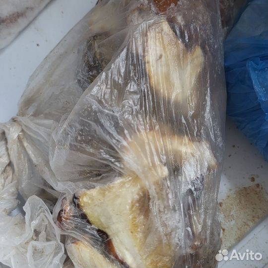 Грибы лесные:белые, опята, подосиновики и др