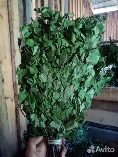 Веники для бани опт