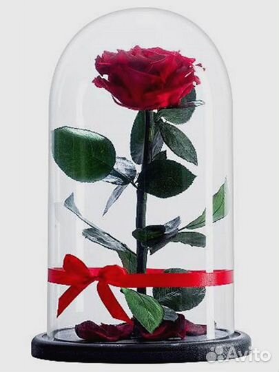 Роза в колбе. Любые размеры