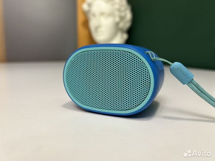 Портативная Bluetooth колонка Sony SRS-XB01