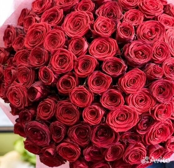 Розы Доставка