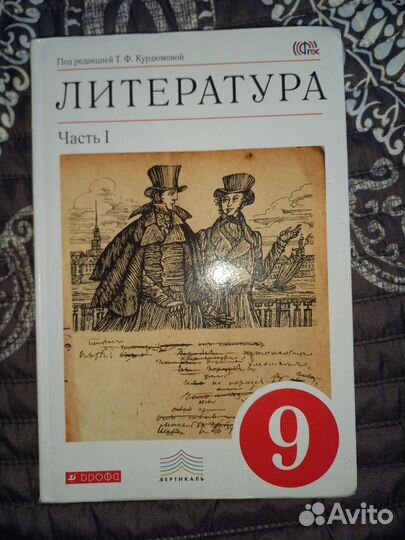 Учебник по литературе 9 класс 2 части