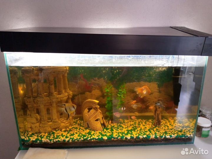 Аквариум
