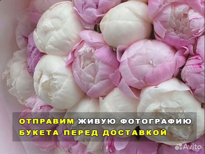 Пионы, цветы от производителя. Гарантия. 24/7