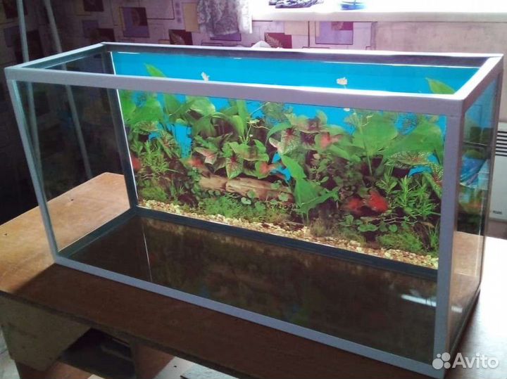 Аквариумы 120, 100 и 70 л