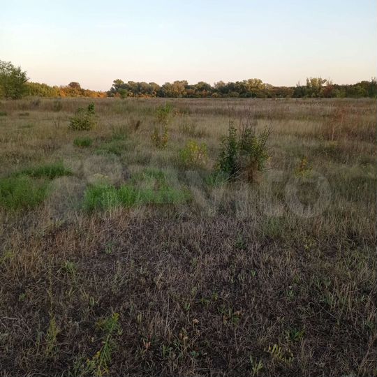 Участок 21 сот. (СНТ, ДНП)