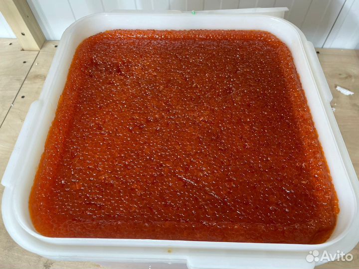 Красная икра оптом