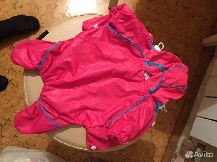 Одежда для собак