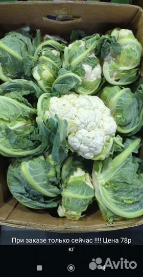 Поставляем продукты питания оптом овощи фрукты