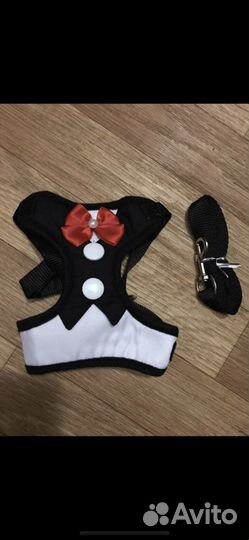 Лук для собачки