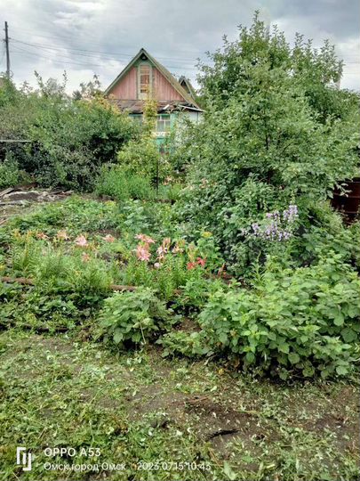 Участок 7,2 сот. (СНТ, ДНП)