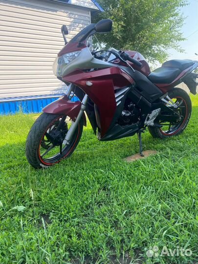 Racer skyway 250