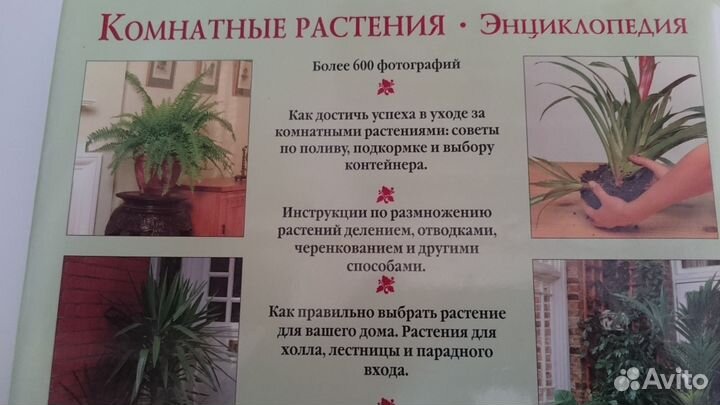 Энциклопедия Комнатные растения
