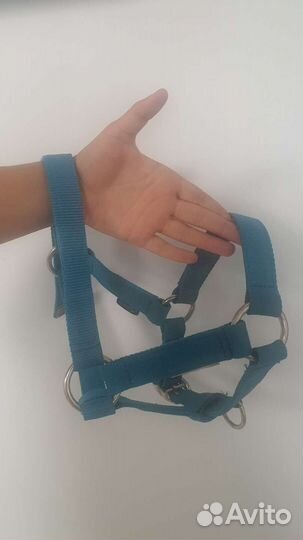 Недоуздок для пони и лошади