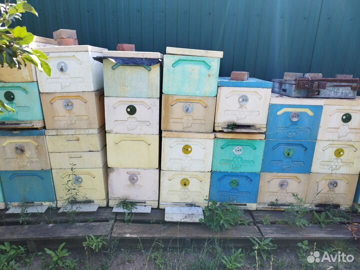 Ульи ППУ, бу