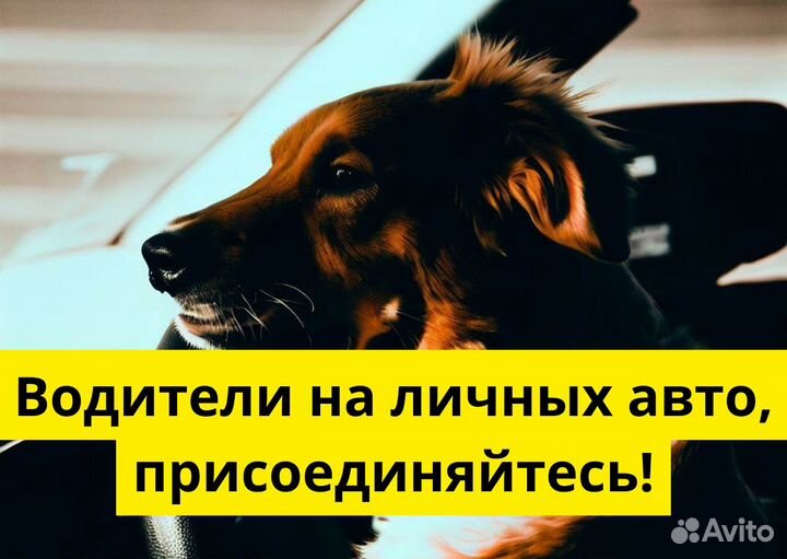 Ищем водителя на личном тс в Яндекс.Go