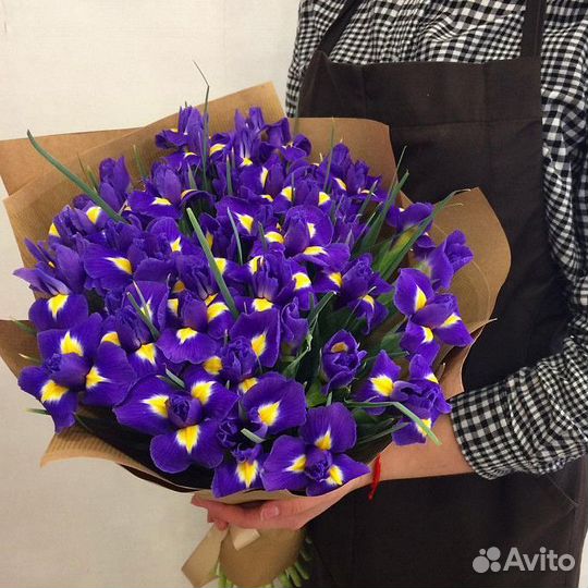 Букет из 15,25, 51 и 101 Ирисов Букет Москва