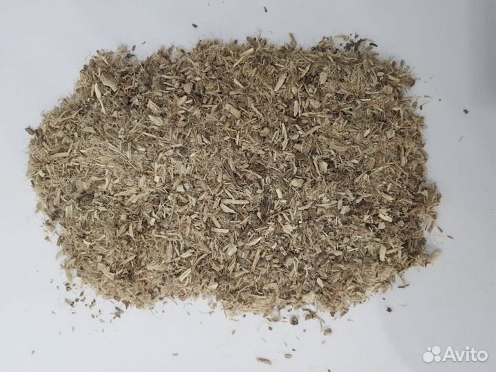 Агарикус лиственнная Губка / Алтей корень с Алтая