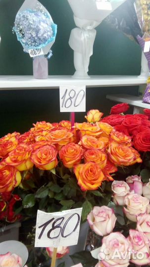 Роза 40,50,60 см Эквадор,Кения