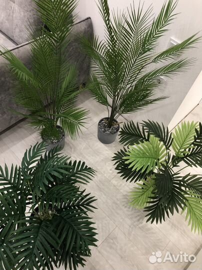 Искусственная пальма растение