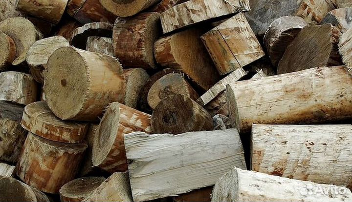 Дрова с Приозерска