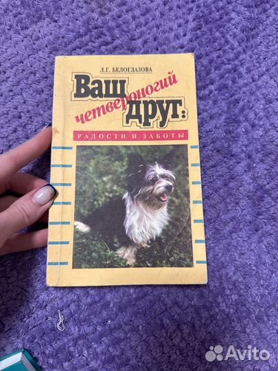 Ваш четвероногий друг