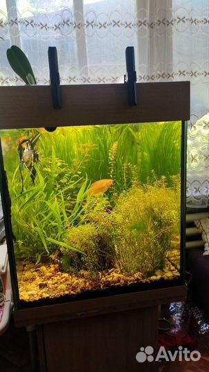 Аквариум 250 литров с тумбой