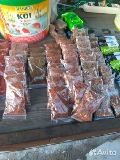 Аквариумные рыбки