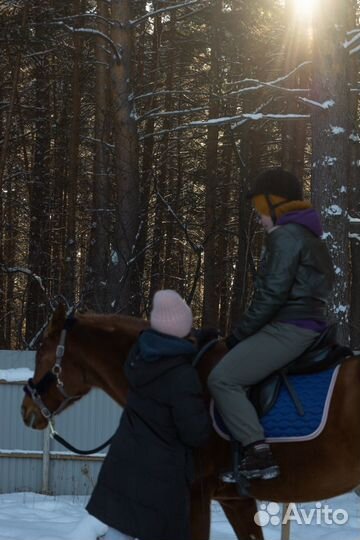 Фотссесия с лошадью