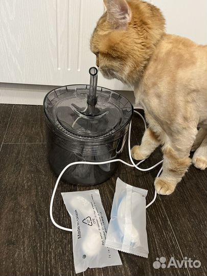 Автопоилка для кошек